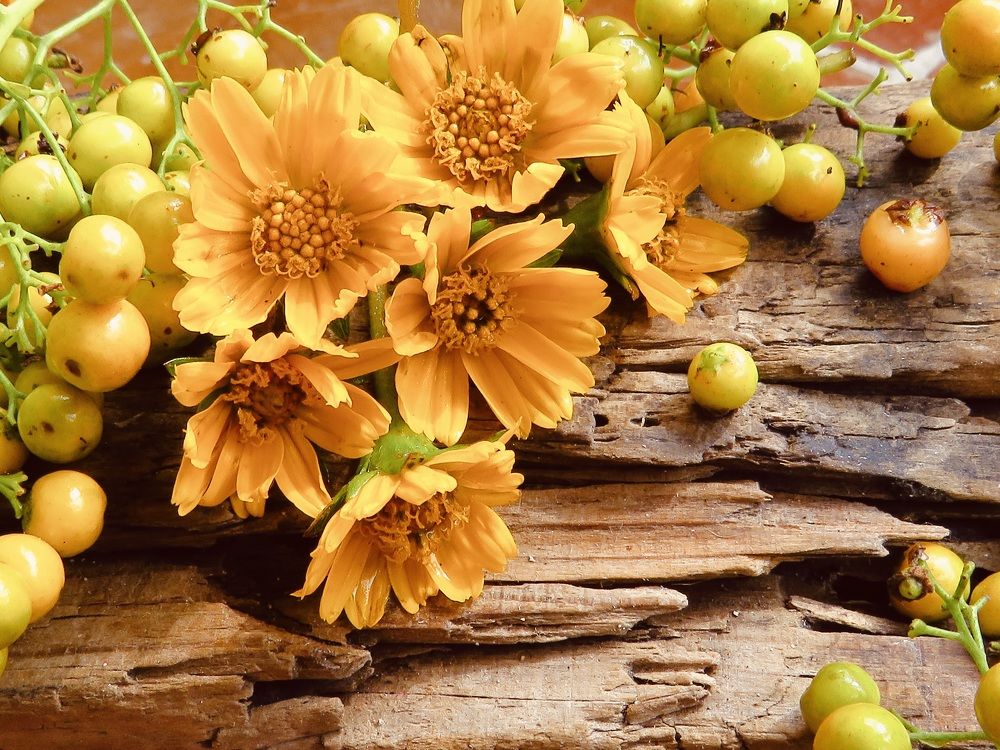 Photograph by María Cristina Umpierréz