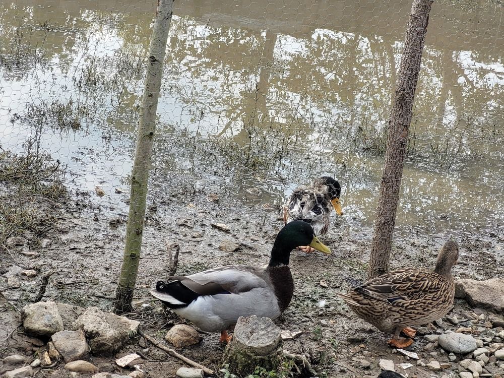 Photograph by Rahele Almassi