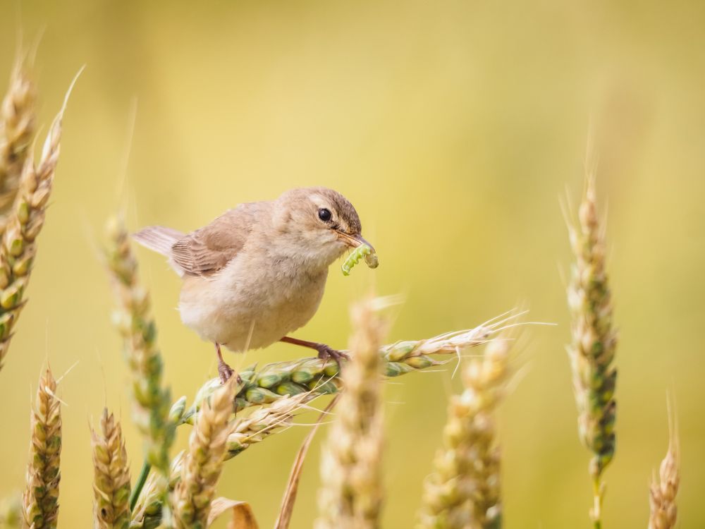 Photograph by Светлана Шибаршина