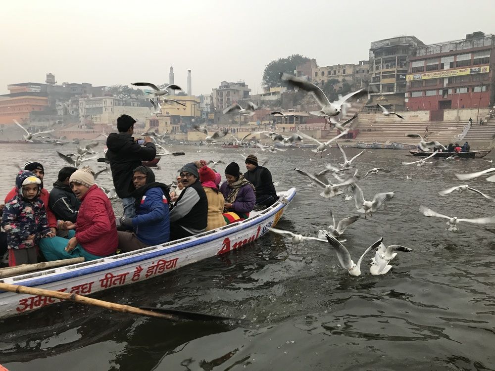 Birds of Ganga, Benares, India