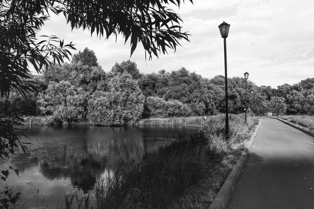 Photograph by Наталья Турбина