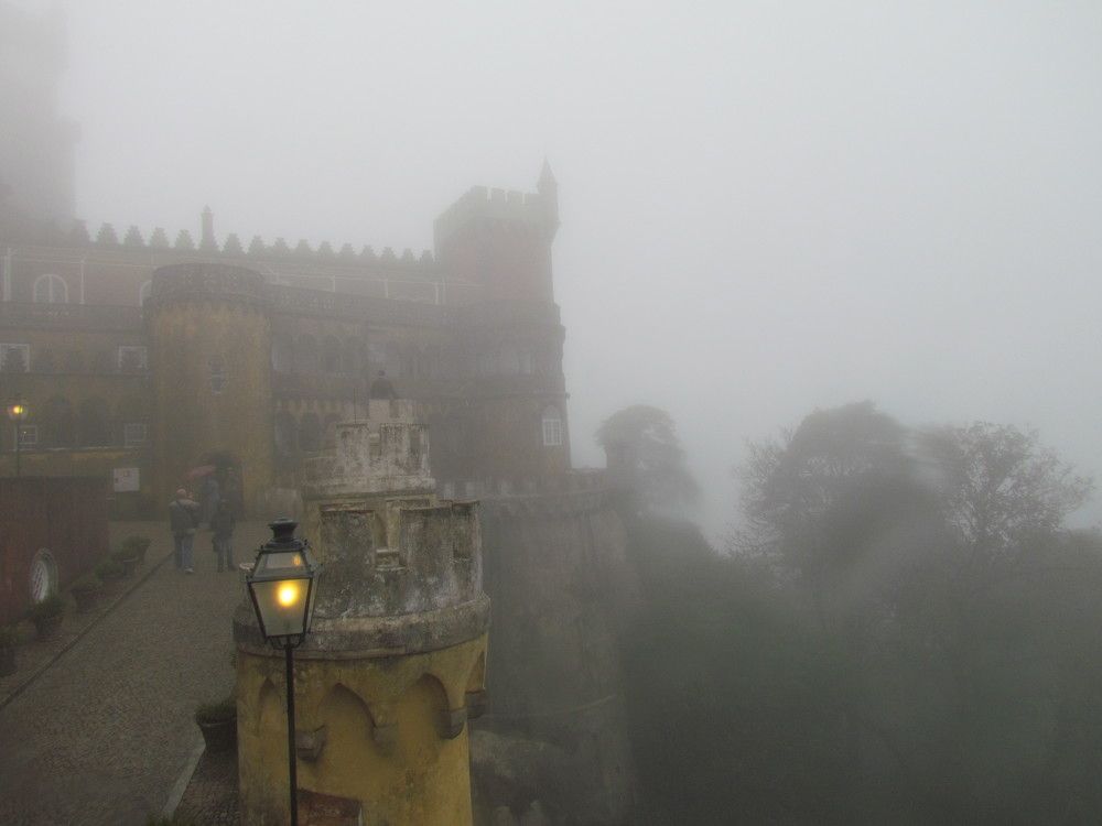 Photo #7764587