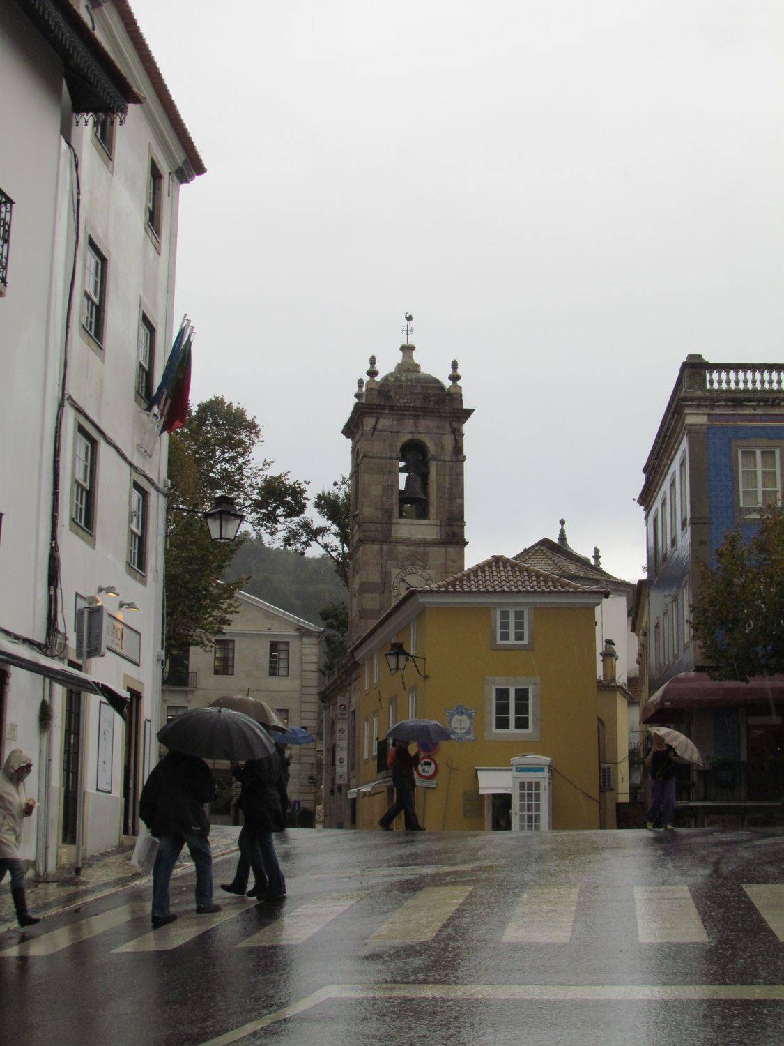 Photo #7764589