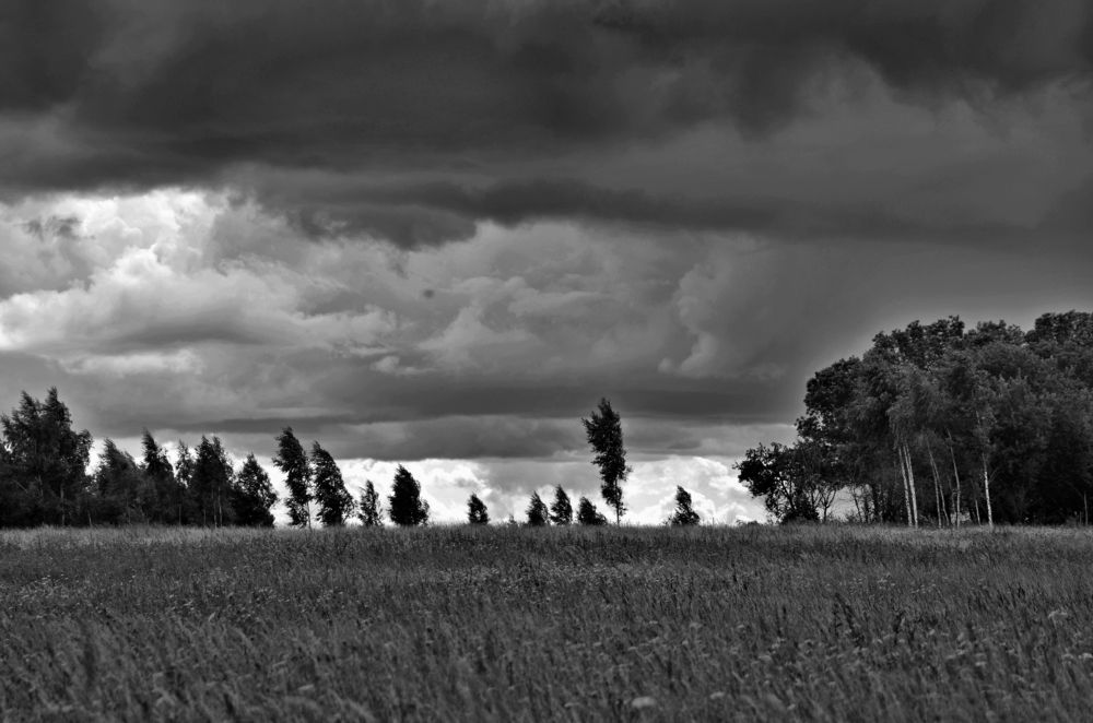 Photograph by Николай Соколовский