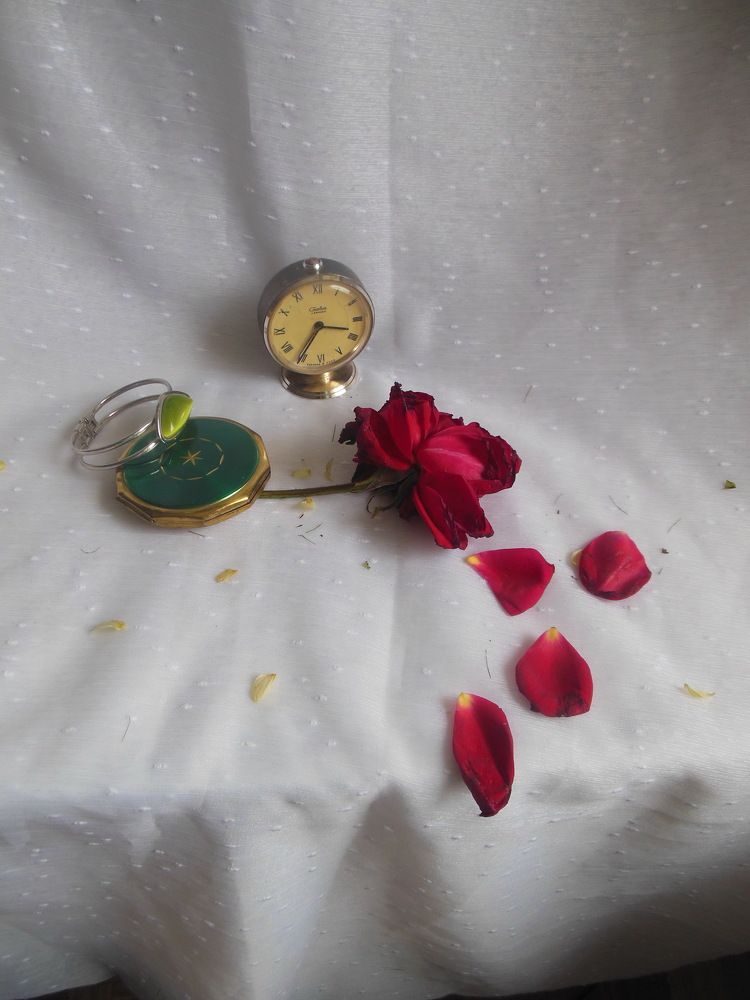 Фотография автора Клавдия Васильева