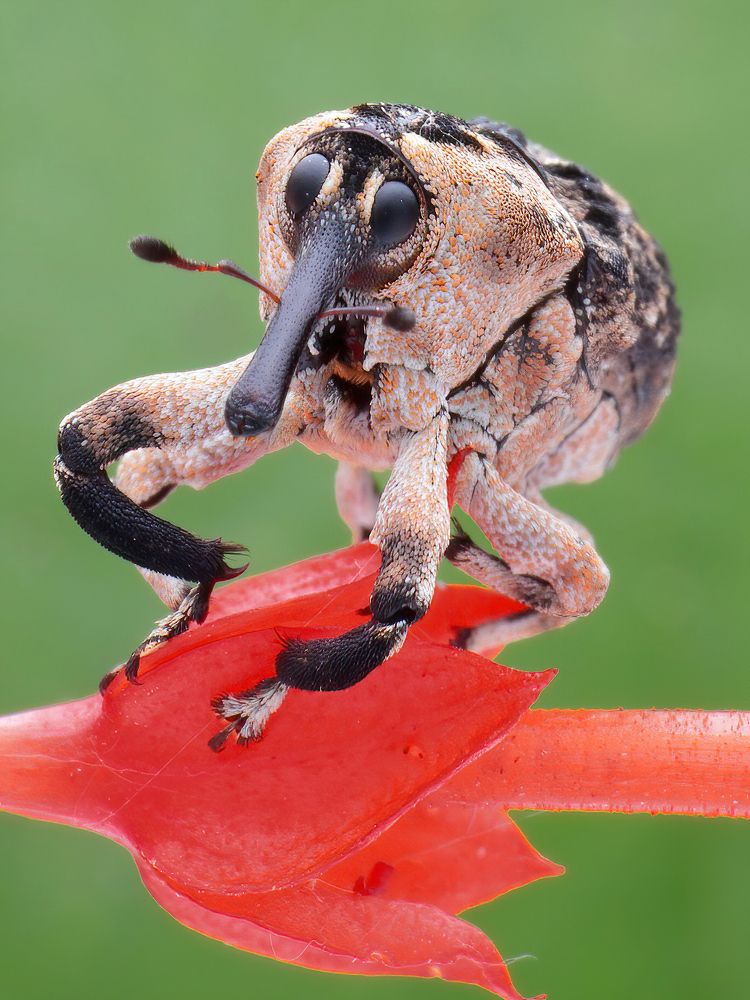 Photograph by Chen-You Li