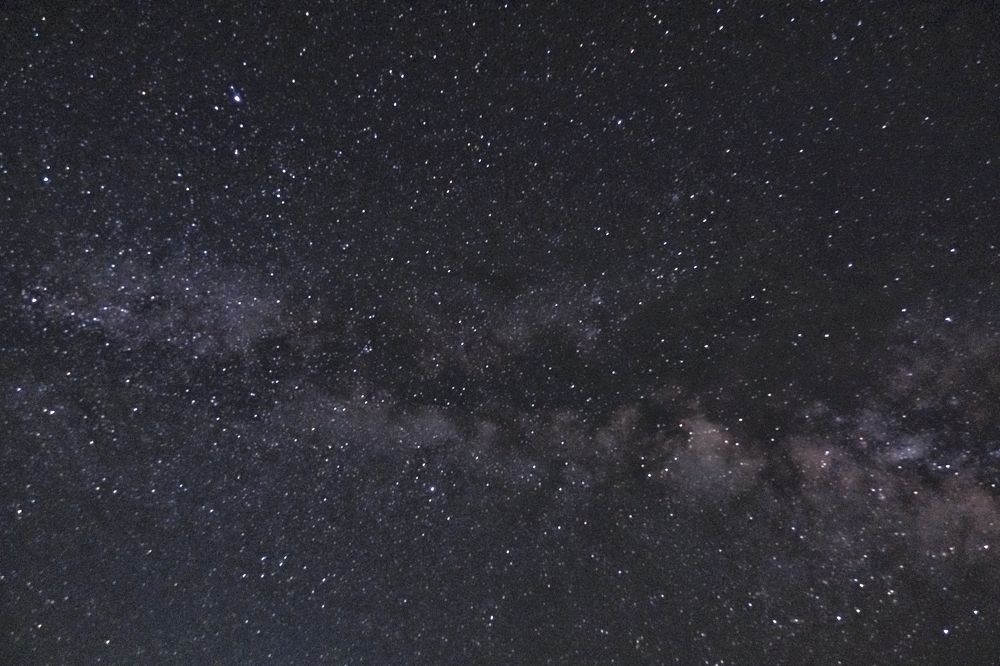 Photograph by Leonid Radashkovsky