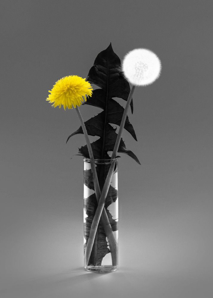Photograph by Валерия Сергеева