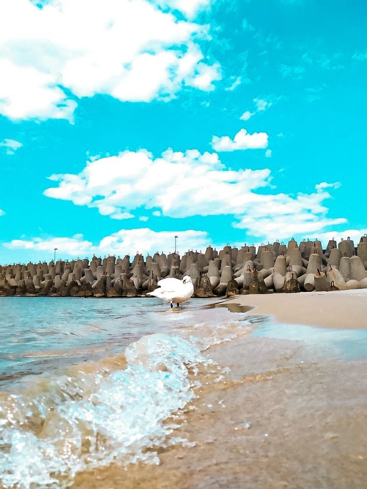 Photograph by Мелетян Наталья