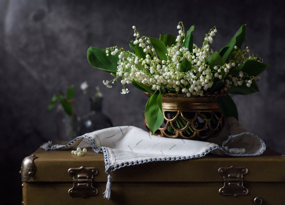 Photograph by Елена Мустафина