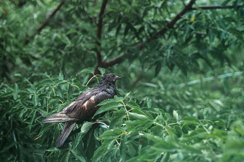 Photograph by Дмитрий Чирков