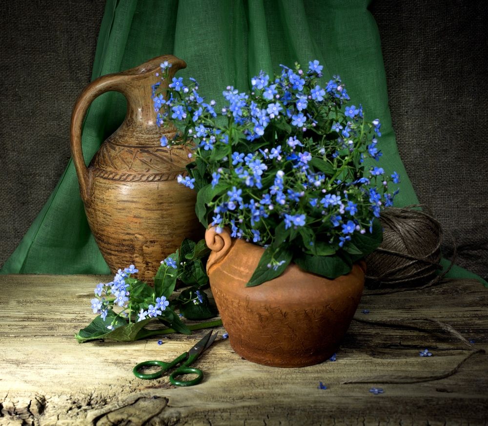 Photograph by Natalia Shilova