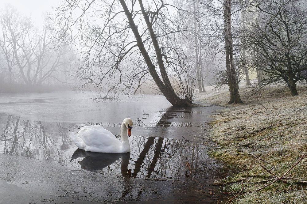 Photograph by Albina Kulikova