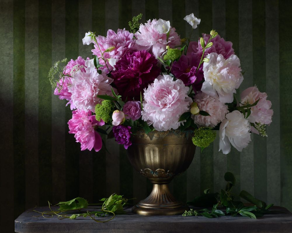 Photograph by Елена Мустафина