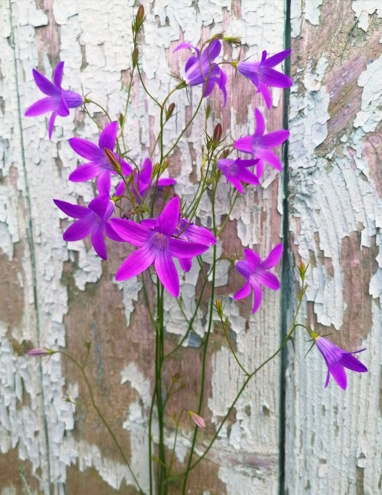 Photograph by Юлия Локалова