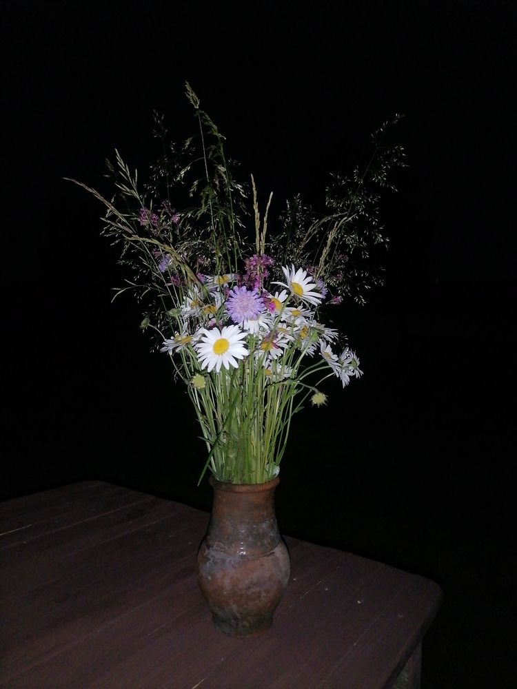 Букет в крынке. Ночь.
