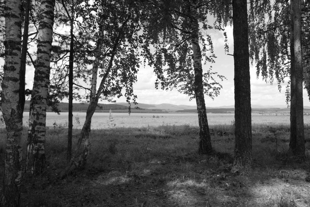 Photograph by Natalia Shilova