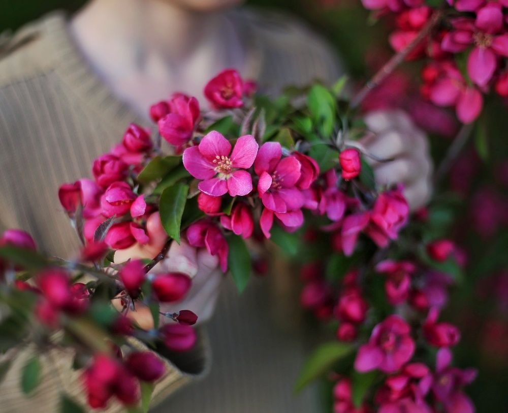 Photograph by Алсу Хусаинова
