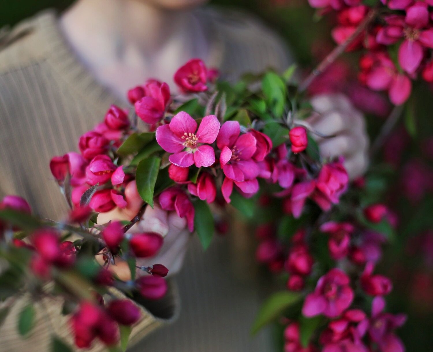Photo #7764934