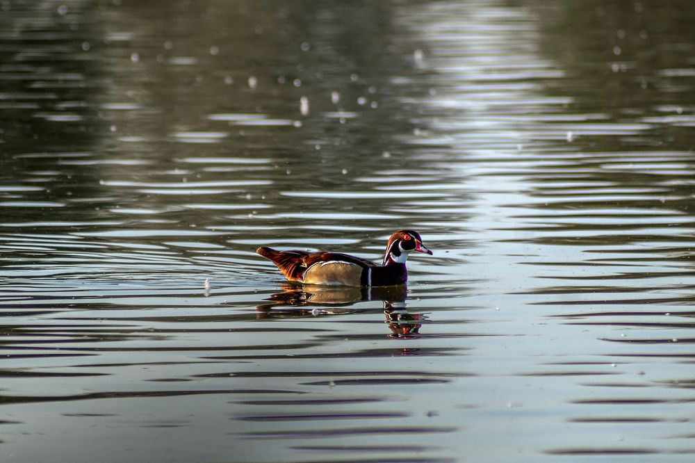 Photograph by Oxana Berezovskaya