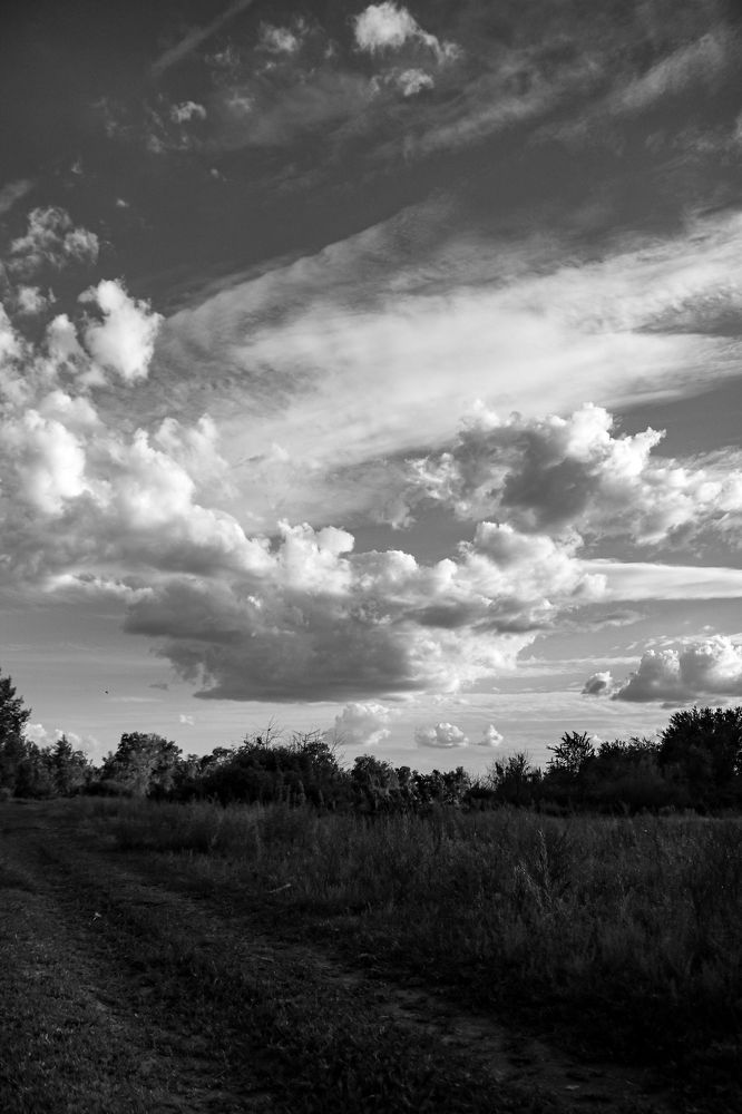 Фотография автора Анастасия Мещерякова