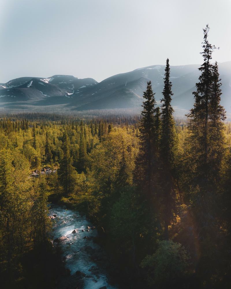 Photograph by Дмитрий Геращенко