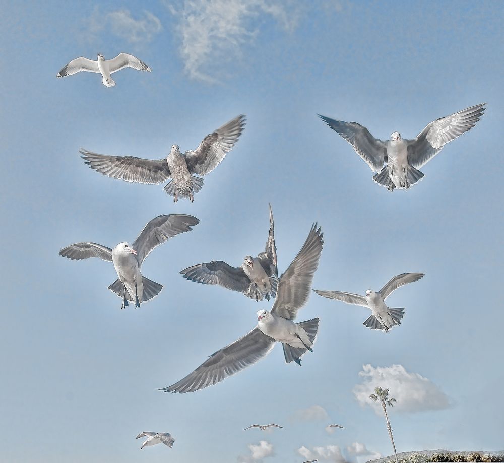 Photograph by Moe manouchehri