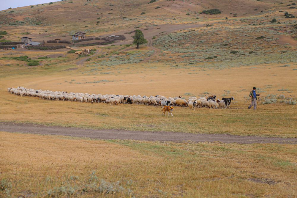 Photograph by Mohammadreza Majlesifar