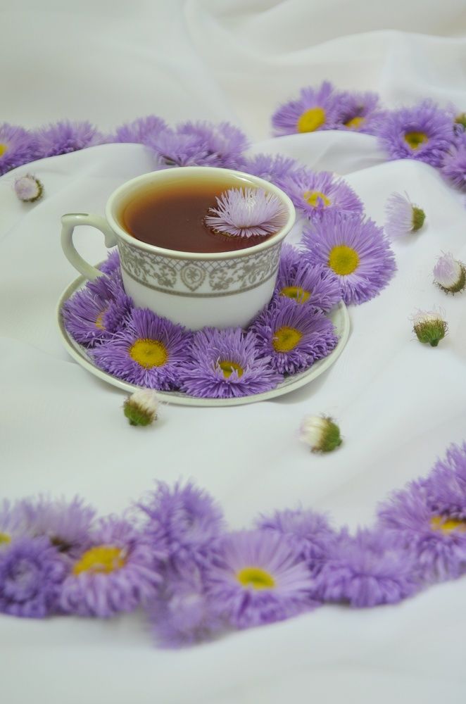 Фотография автора Евгения Илина