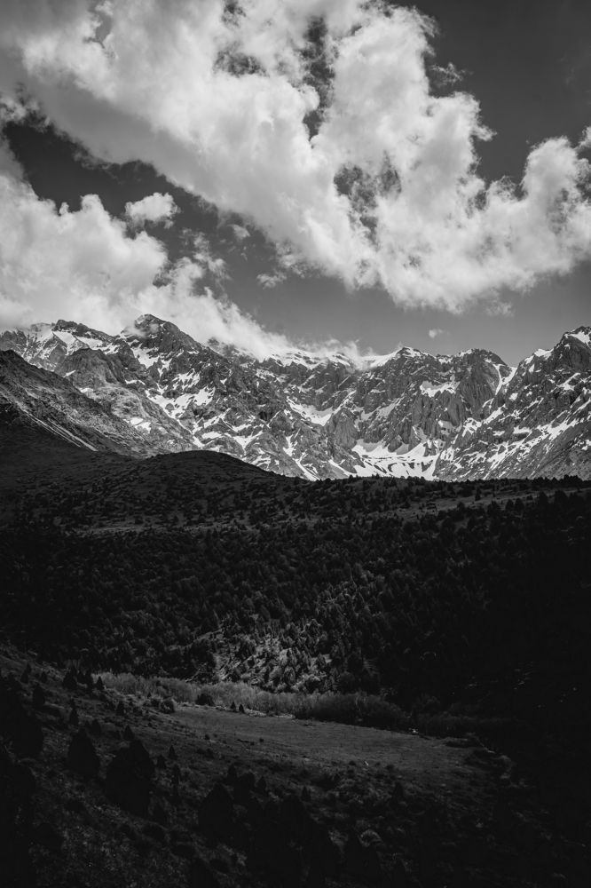 Photograph by Артем Орлянский