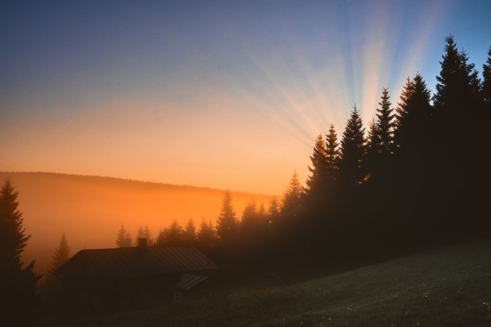 Photograph by Jan Musil