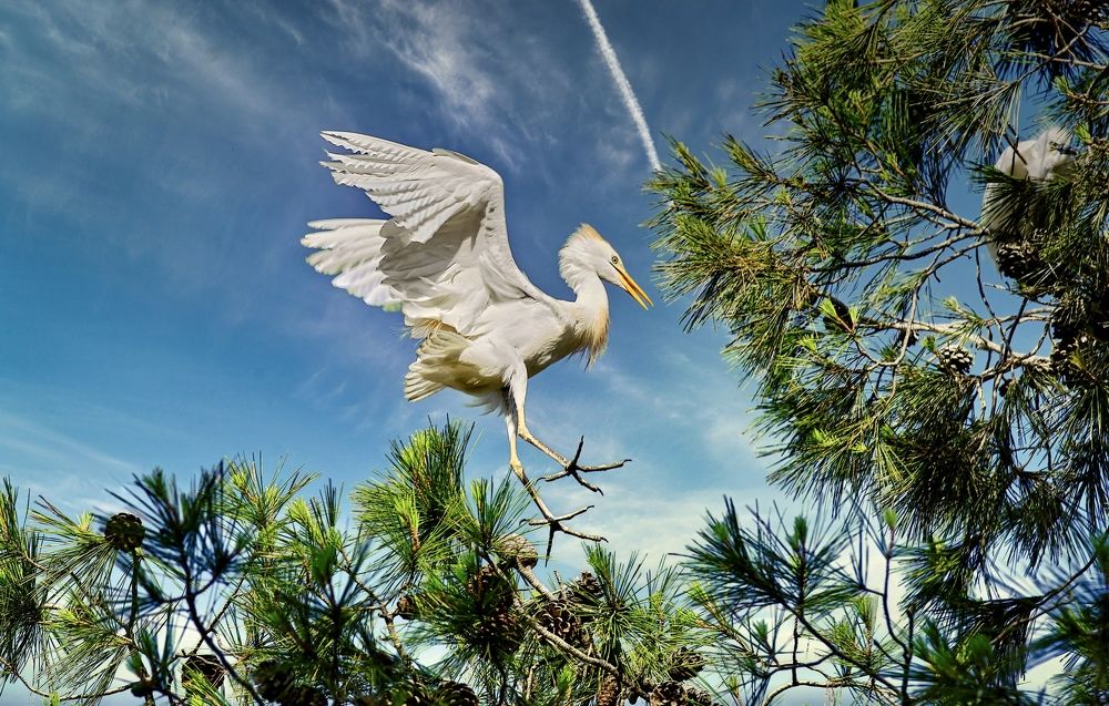 Photograph by Maxim Polak