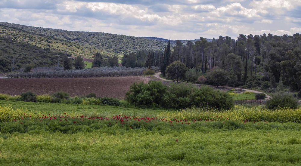 Photograph by Валентина Булкина