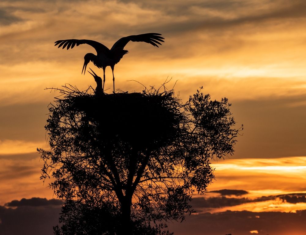 Photograph by Francisco José López Fernández