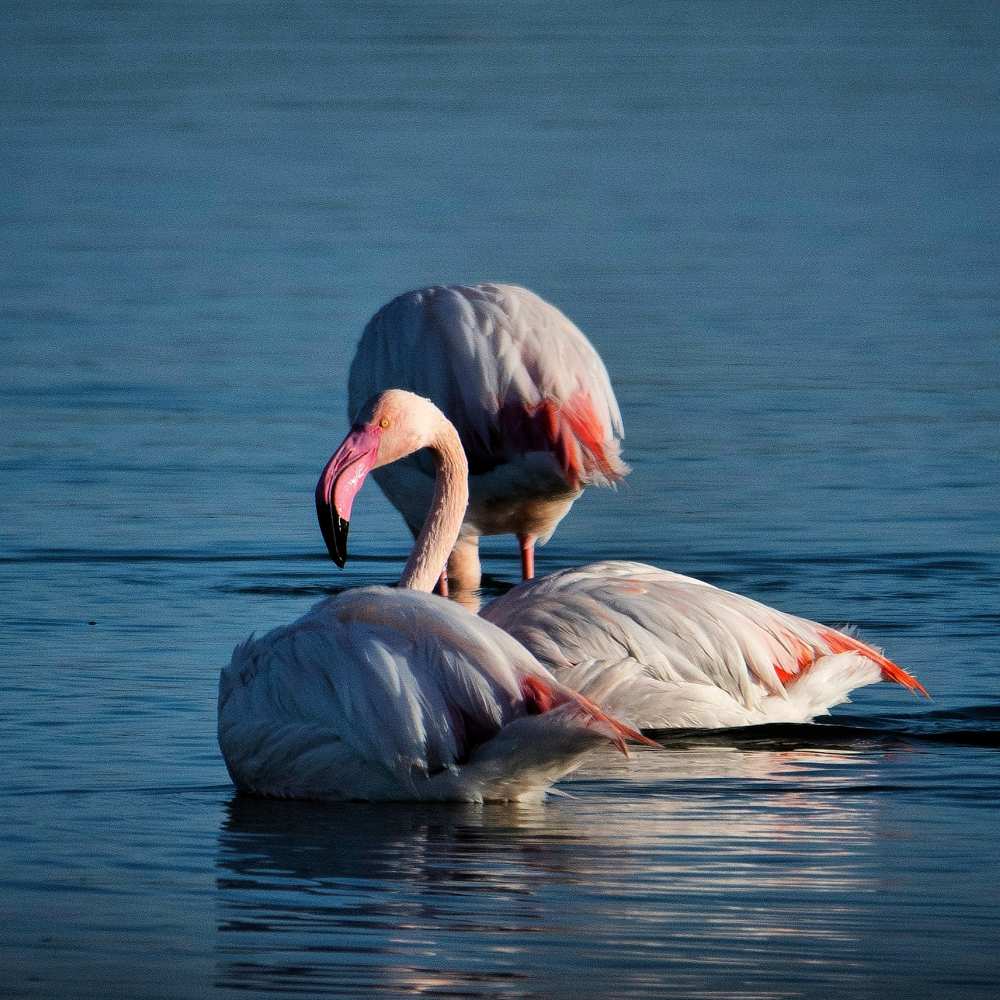 Photograph by Charis Christoforou