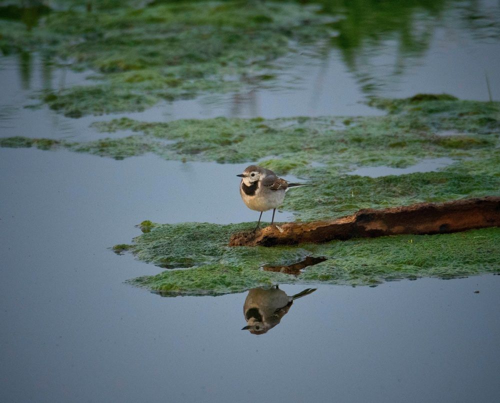 Photograph by Charis Christoforou