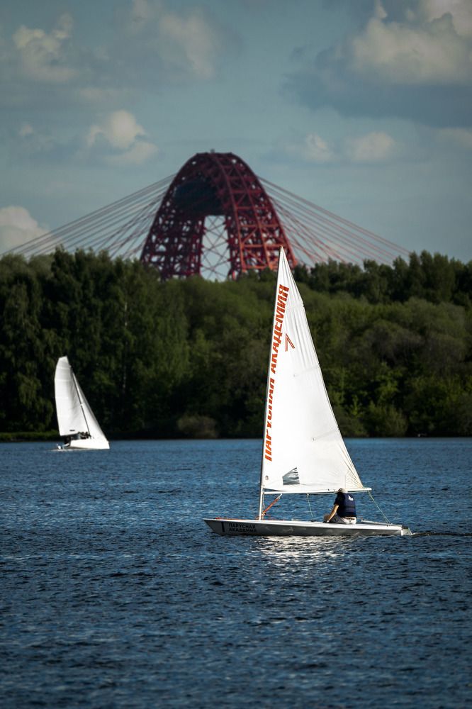 Фотография автора Владимир Романов