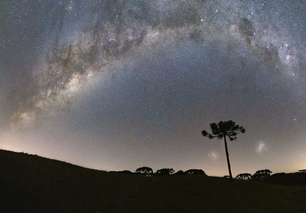 Photograph by Joice Kreiss