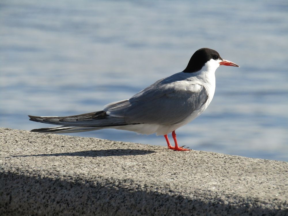 Photograph by Наталина Князева