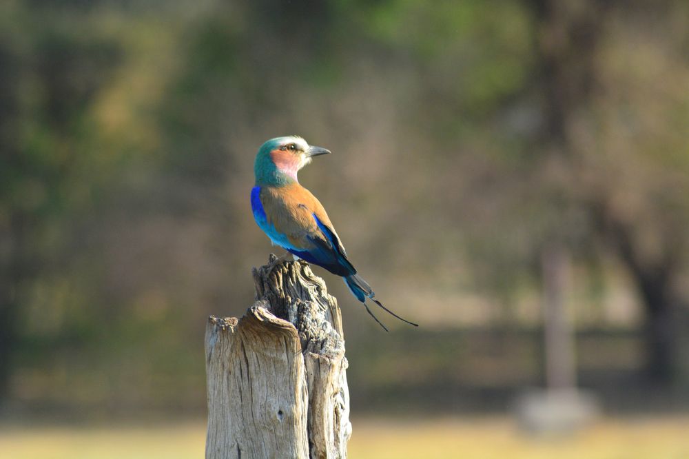 Photograph by Анатолий Орлов