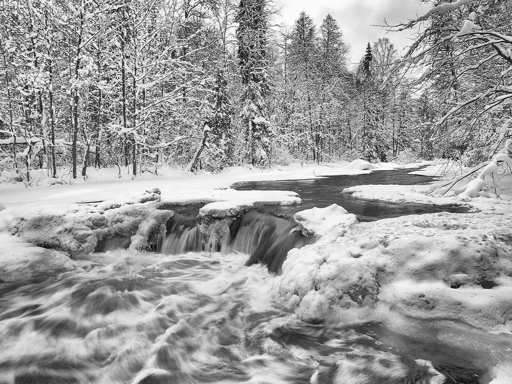 Photograph by Марина Брыдня