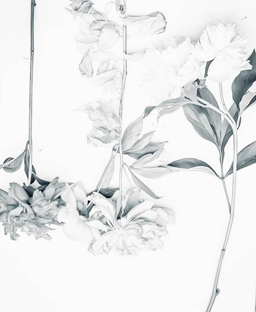 Photograph by Natalia Everatt