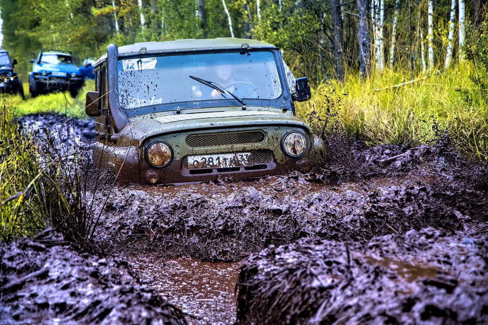 Photograph by Почечуй Андрей