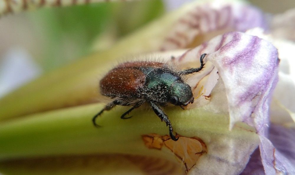 Photograph by Ольга Сафронова