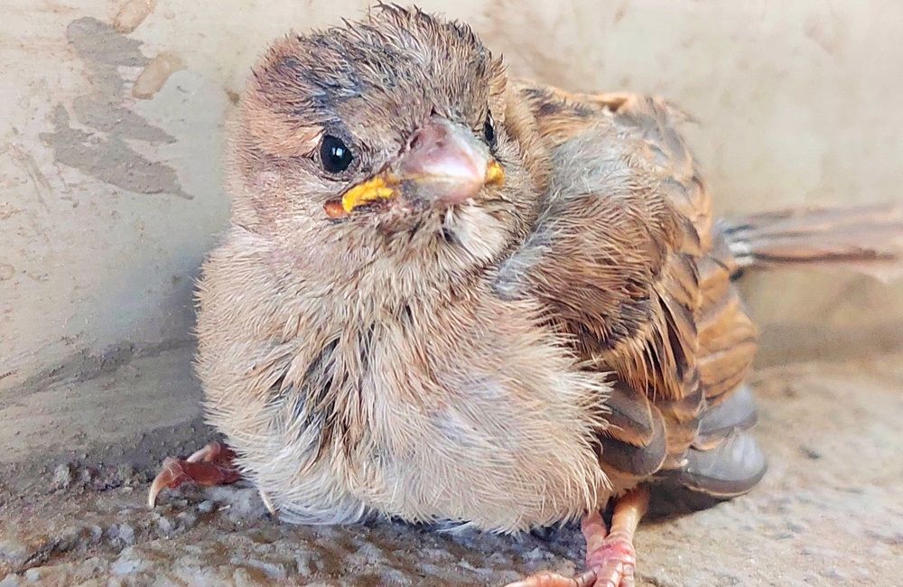 Photograph by Рамона Алескерова