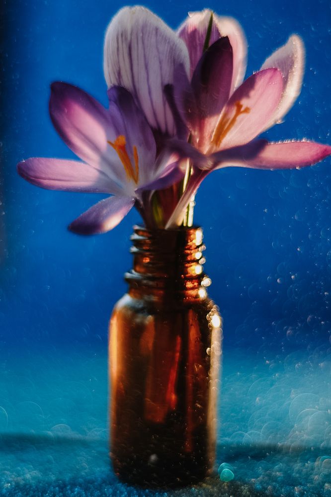 Photograph by Стоянова-Тимбукту Мария