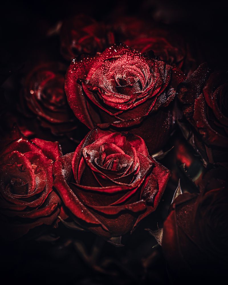 Photograph by Алексей Немчинов