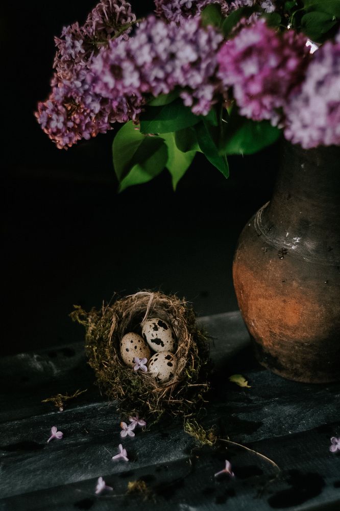 Photograph by Стоянова-Тимбукту Мария