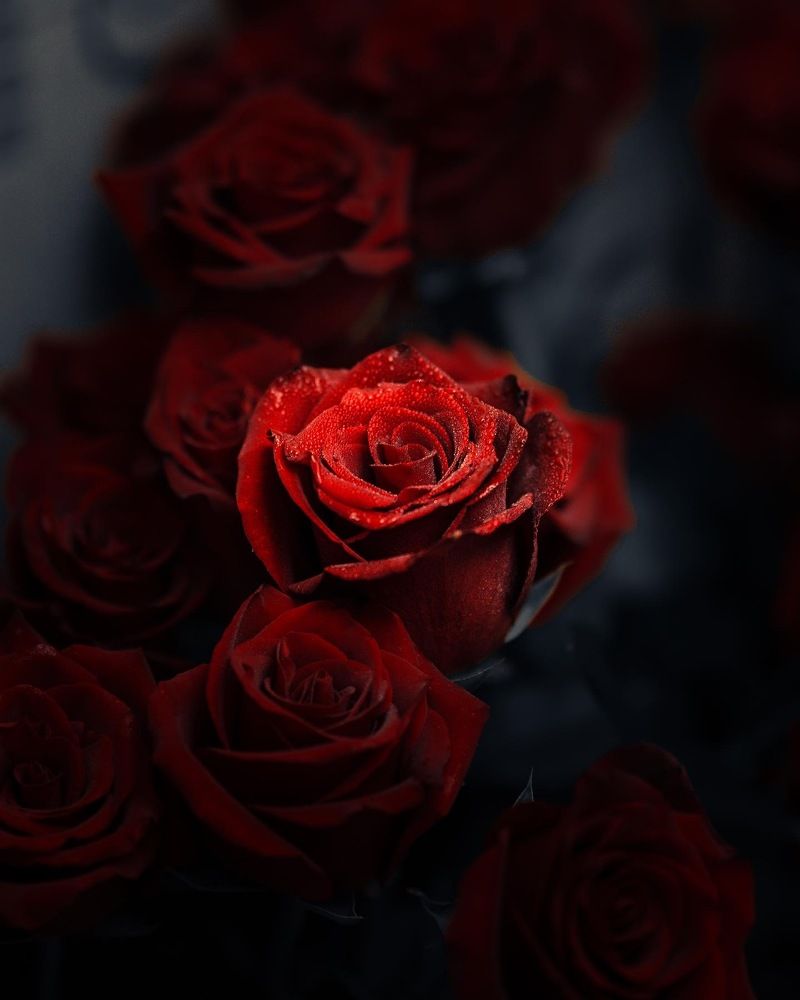 Photograph by Алексей Немчинов