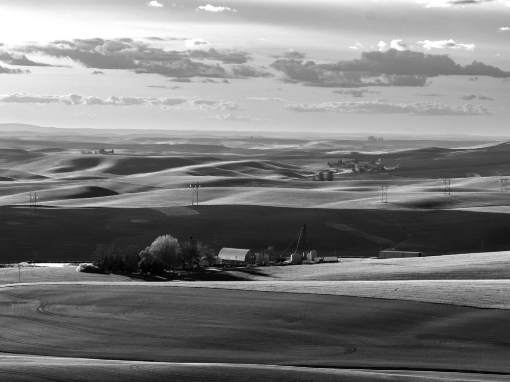 Photograph by Annette Taberner-Miller